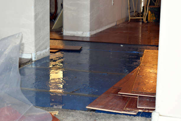 Professional Water Damage Restoration technician working in Chico, TX